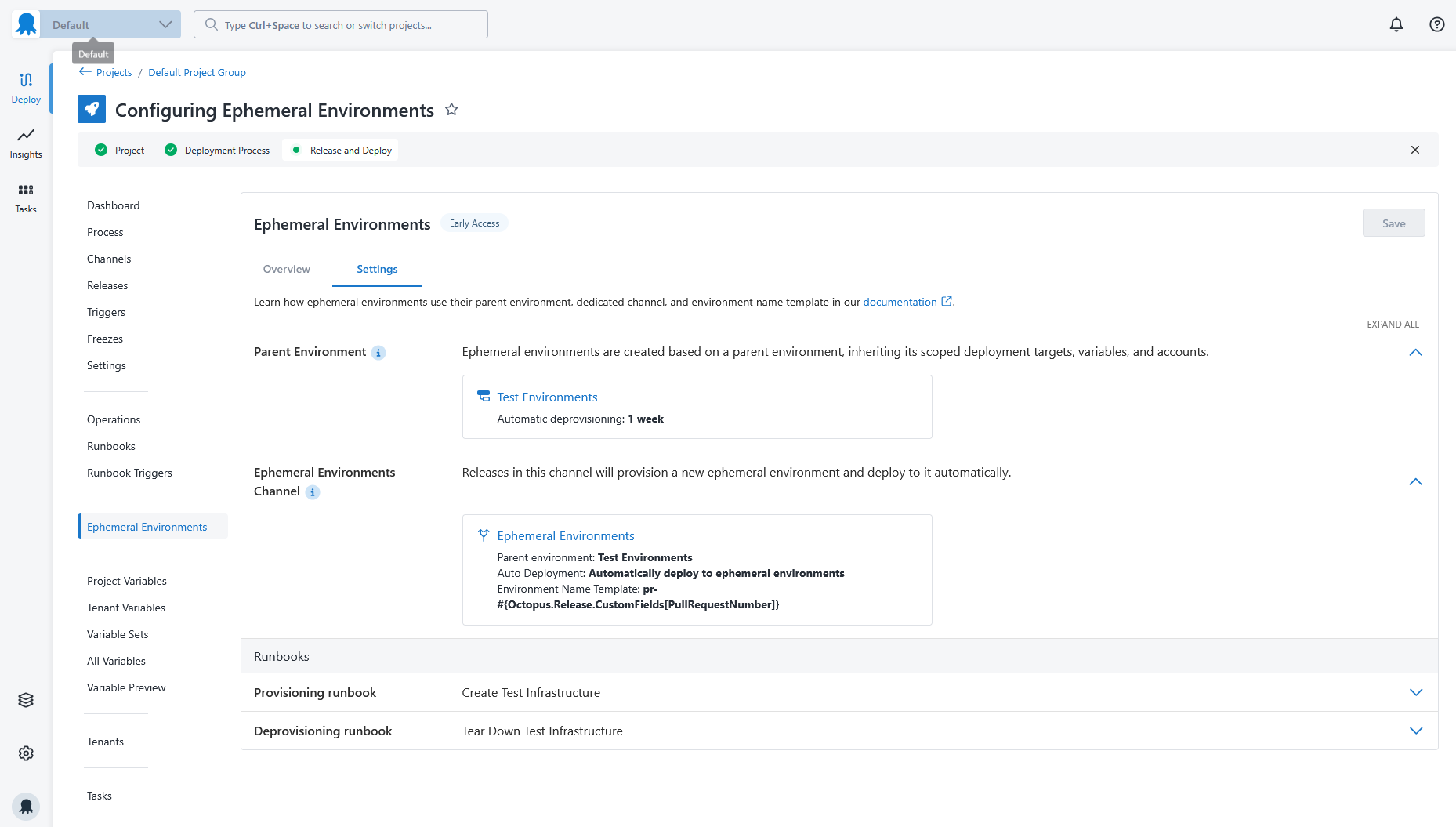 Viewing ephemeral environments within a project